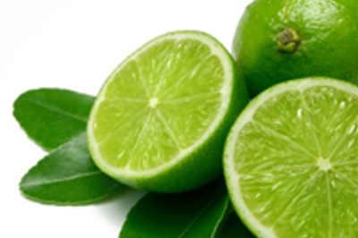 Citrus aurantifolia (Lime)