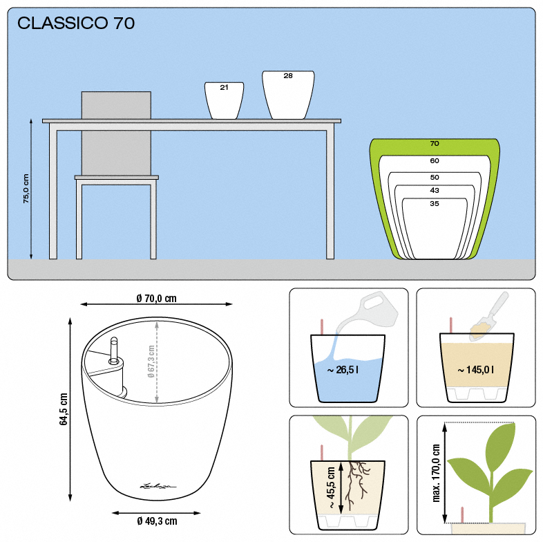 classico_70_large