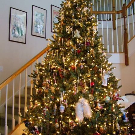 Decorated Christmas Tree